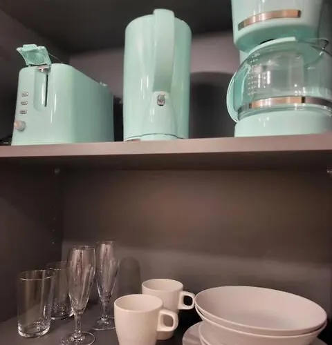 Mit Rheinblick * Koblenz (Rhineland-Palatinate)