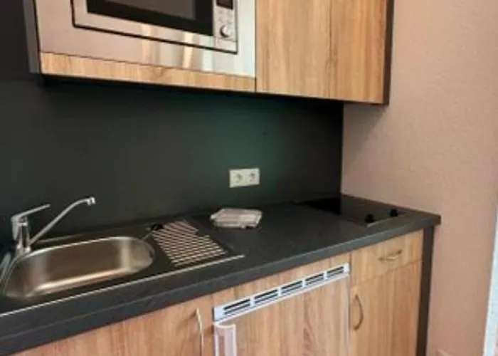 Appartement Mit Rheinblick *